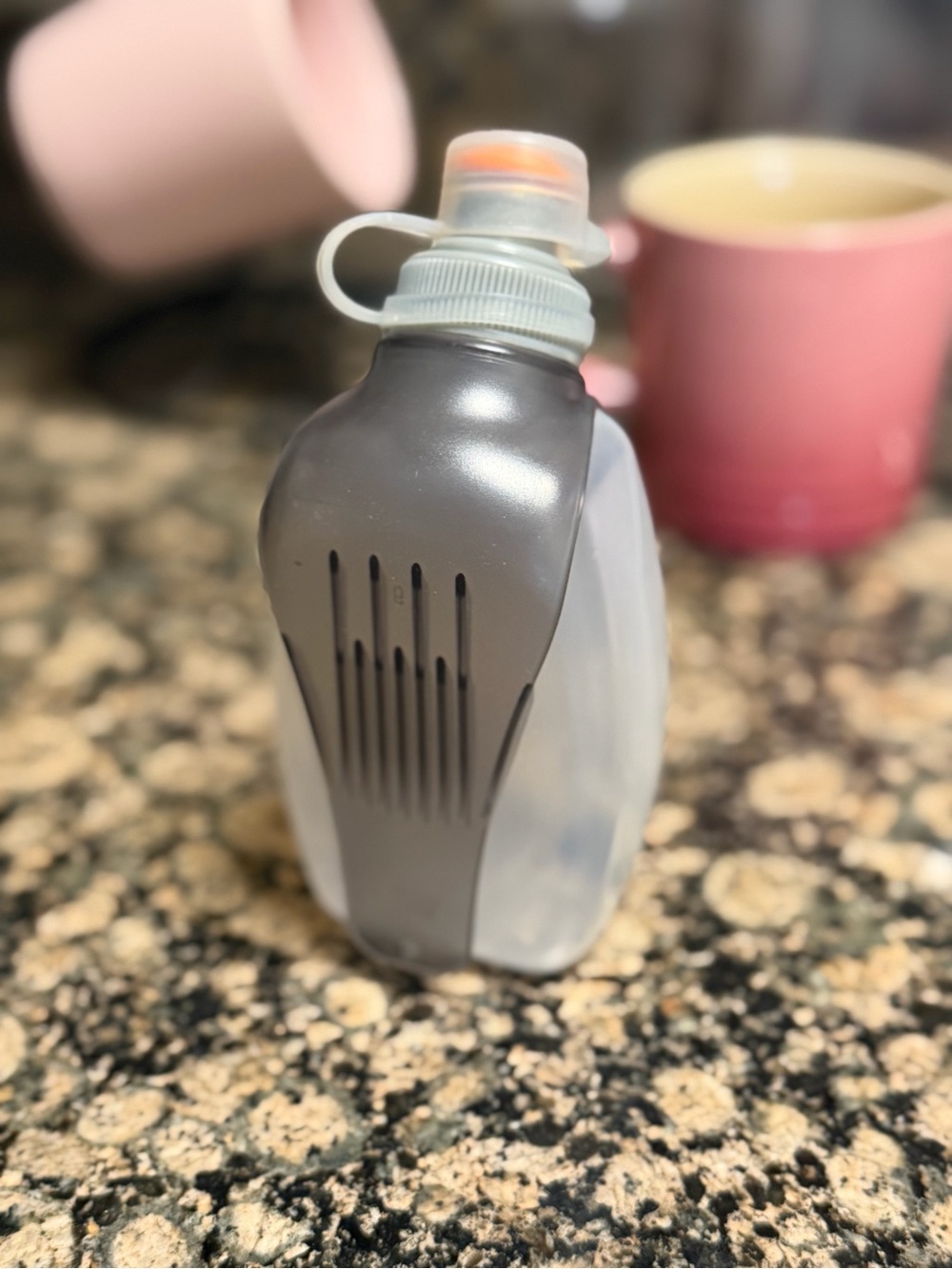 Gray and Translucent Sport Water Bottle with Flip Cap